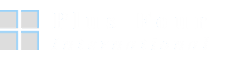 Plus Four International Logo